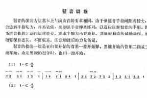 手风琴各种技巧训练，琶音训练