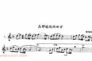 单管簧谱之中国乐曲：在哪遥远的地方