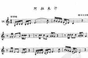 单管簧谱之中国乐曲：阿拉木汗