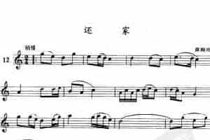 单管簧谱之中国乐曲：还年