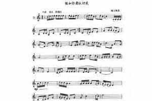 单管簧谱之中国乐曲：假如你要认识我