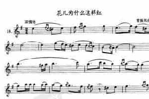 单管簧谱之中国乐曲：花儿为什么这样红