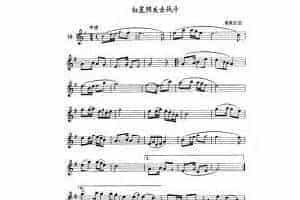 单管簧谱之中国乐曲：红星照我去战斗