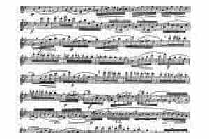 柯勒长笛浪漫练习曲作品66号：泉水边 near the fountain