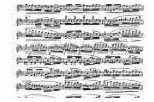 柯勒长笛浪漫练习曲作品66号：鸽子 pigeons