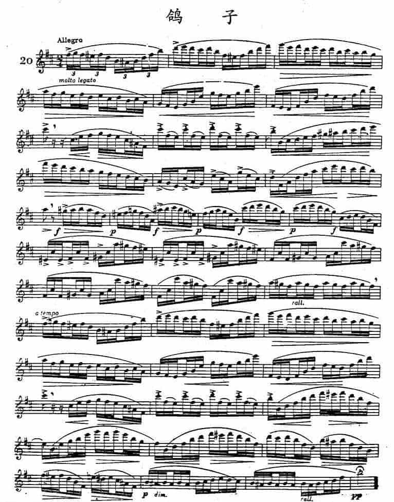 柯勒长笛浪漫练习曲作品66号：鸽子 pigeons_第1张