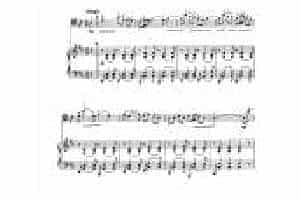 中国大提琴改编曲谱选：独弦操 刘天华曲 王连三改编