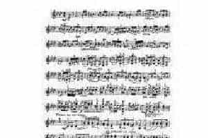 克莱斯勒-勃拉姆斯-匈牙利舞曲 第十七首 Fritz Kreisler-Johannes Brahms Hungarian Dance No.17