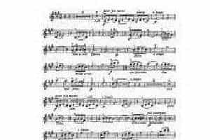 克莱斯勒-戈多夫斯基-园舞曲 第2号 Fritz Kreisle, Leopold Godowsky, Waltz Poem No.2