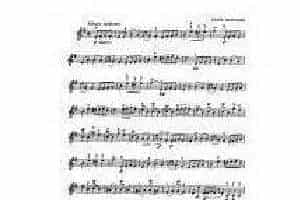 克莱斯勒-铃鼓舞曲 (拉莫风格)Violin Fritz Kreisler, Jean-Philippe Rameau, Tambourin