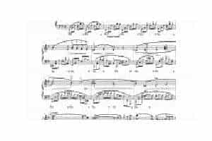 chopin 肖邦e小调夜曲