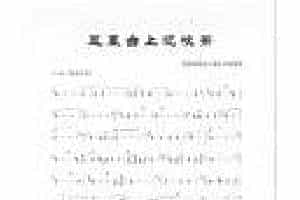 根据张维良【殇】专辑整理《凤凰台上忆吹箫》箫谱