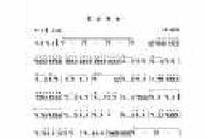 【霍拉舞曲】半音阶口琴谱
