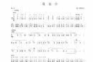 笙谱大全【观花灯】杨小麒 编曲