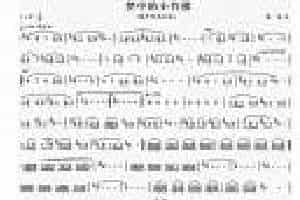 巴乌谱【梦中的小竹楼】巴乌独奏