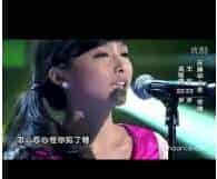 口风琴演奏视频欣赏【过火】中国好声音