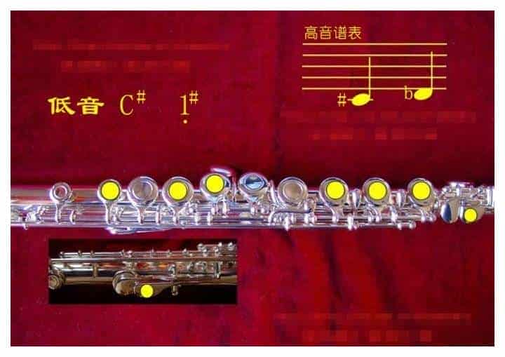 长笛各种指法大全，长笛指法图片详解_第2张