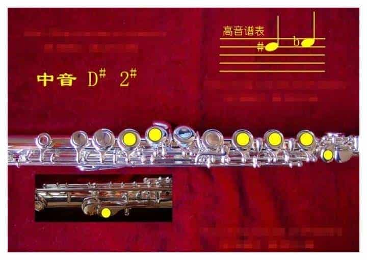 长笛各种指法大全，长笛指法图片详解_第17张