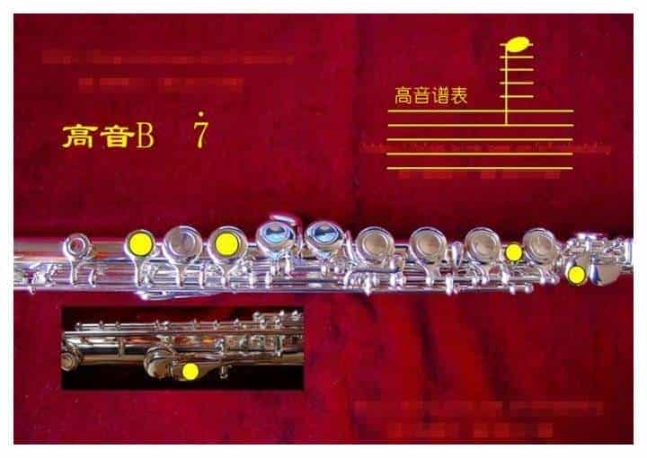 长笛各种指法大全，长笛指法图片详解_第40张