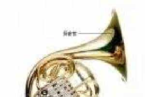 学好圆号的关键因素有哪些？学圆号的要求