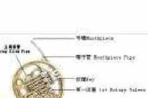 圆号有哪些部分构成？圆号的鳖体结构及地答分解