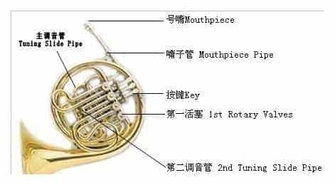 圆号有哪些部分构成？圆号的鳖体结构及地答分解_第1张