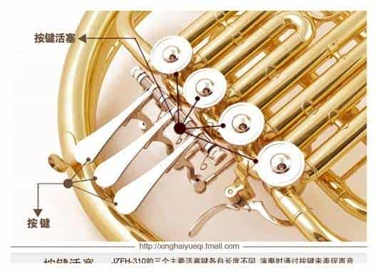 圆号几种色彩性特殊奏法，圆号的特殊奏法_第1张