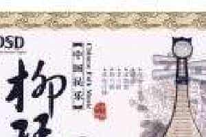 柳琴专业教学存在的主要问题与改进的设想和对策