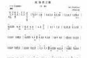 柳琴考级曲谱【柳琴考级曲目九级：流浪者之歌（片段）】