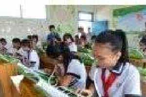 口风琴入门 带你认识口风琴