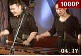 中国的马林巴表演二人组【2016世界木材日音乐会】王申/高晨旭