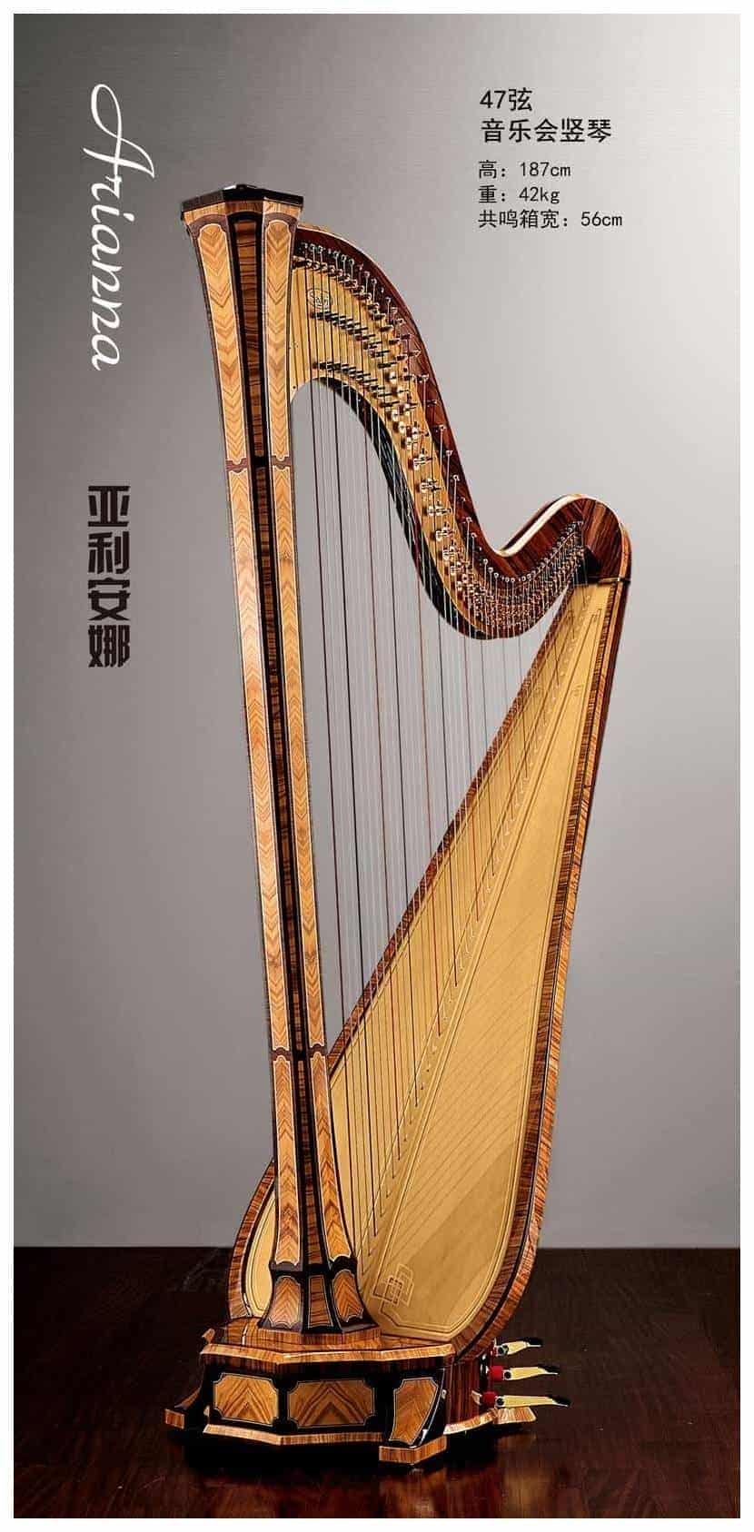 萨尔维(Salvi)竖琴【阿里安娜】图片及参数_第1张