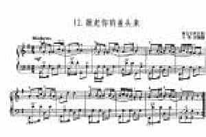 中国民歌名曲手风琴曲谱集【掀起你的盖头来】维吾尔族民歌