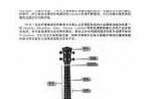 尤克里里选购技巧 新手Ukulele选购指南