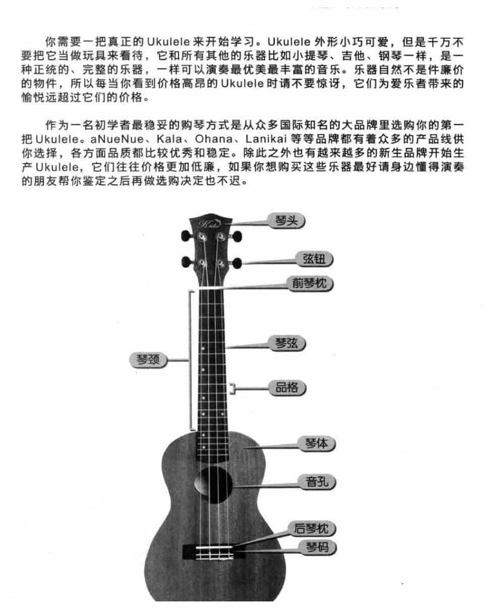 尤克里里选购技巧 新手Ukulele选购指南_第1张