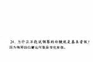 为什么不能说钢琴的白键就是基本音级？