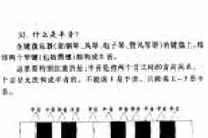 什么是半音？