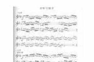 全国小号演奏考级作品集《音阶与琶音 bE大调/c小调 A大调/#f小调》第五级