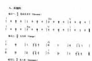 电贝司的基本节奏类型《其他的》