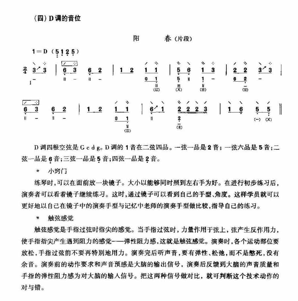 琵琶主要调式的演奏《琵琶主要调式音位》_第3张