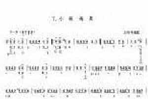琵琶乐曲谱《小酸梅果》
