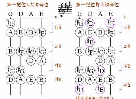 小提琴第一把位各调音位图_第4张
