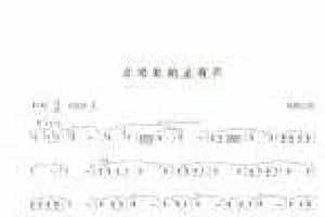 巴乌初级独奏曲《会唱歌的金葫芦/杨建生曲》简单的巴乌乐曲