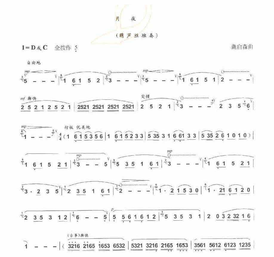 巴乌中高级乐曲《月 夜》龚启森曲_第1张