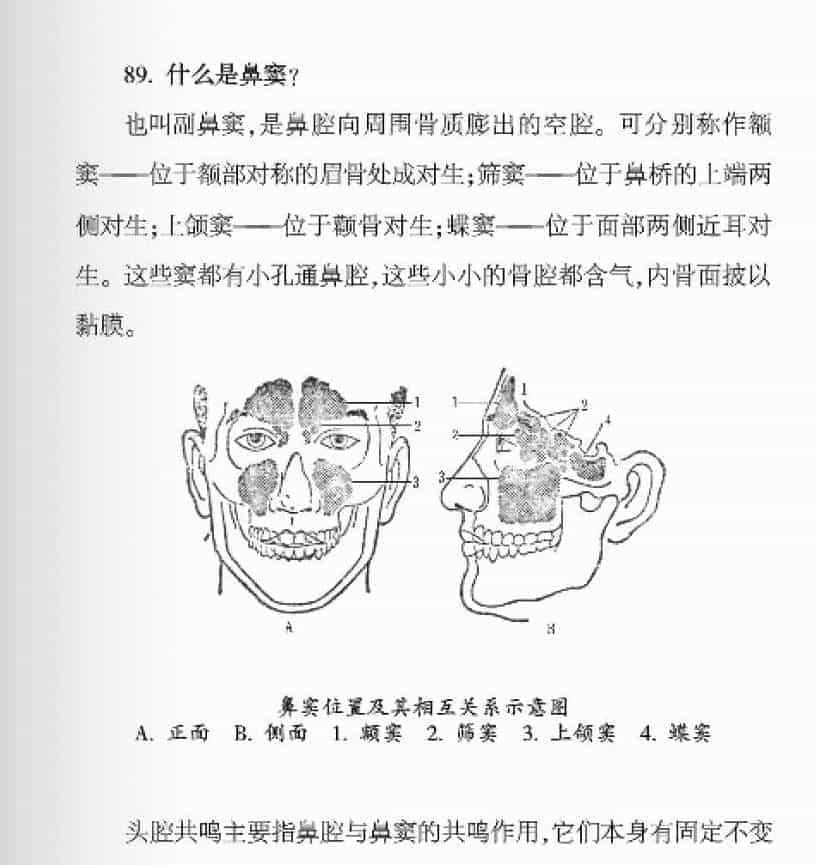 声乐基础知识《什么是鼻窦？》_第1张