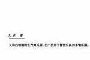 外国木管乐器《长笛》简介