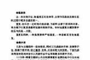 音乐主题的发展方法《其他发展手法》