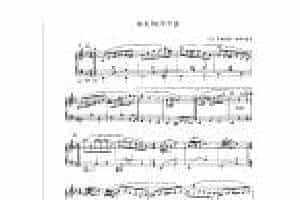 现代手风琴流行乐曲《培来特华尔兹》[法]里奥哈特·加里亚诺曲