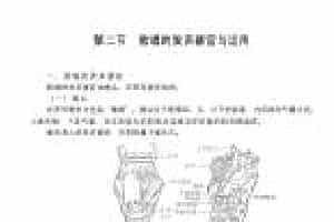 歌唱的生理基础《歌唱的发声器官与运用》
