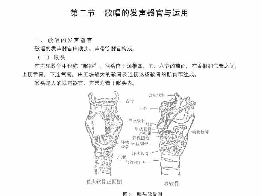 歌唱的生理基础《歌唱的发声器官与运用》_第1张